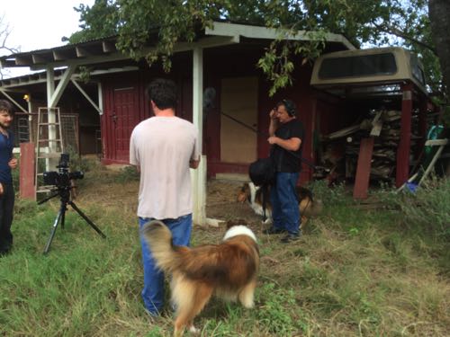 HollywoodHoneytreeColliesBehindTheScenes 04collie.jpg